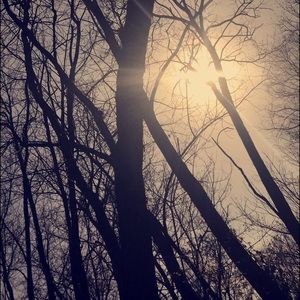 Meet your Posher, Addy